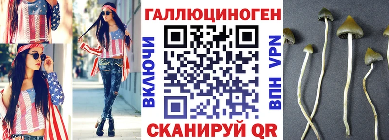 Галлюциногенные грибы Psilocybine cubensis Грозный