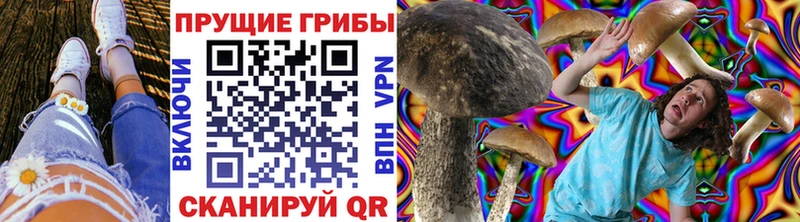 ОМГ ОМГ вход  Грозный  Галлюциногенные грибы ЛСД  где найти наркотики 