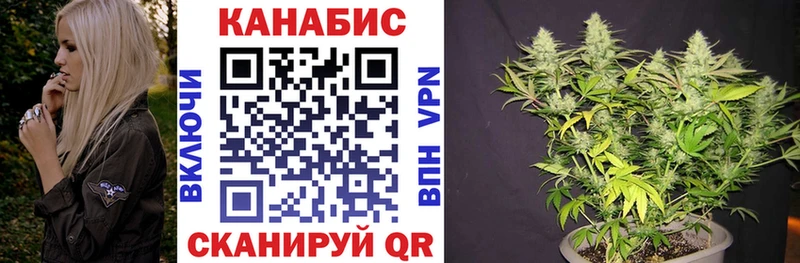 Каннабис OG Kush магазин продажи Грозный